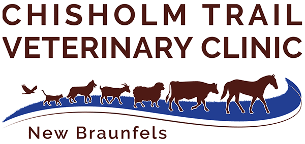 chisholm-trail-veterinary-clinic-luling-texas-logo