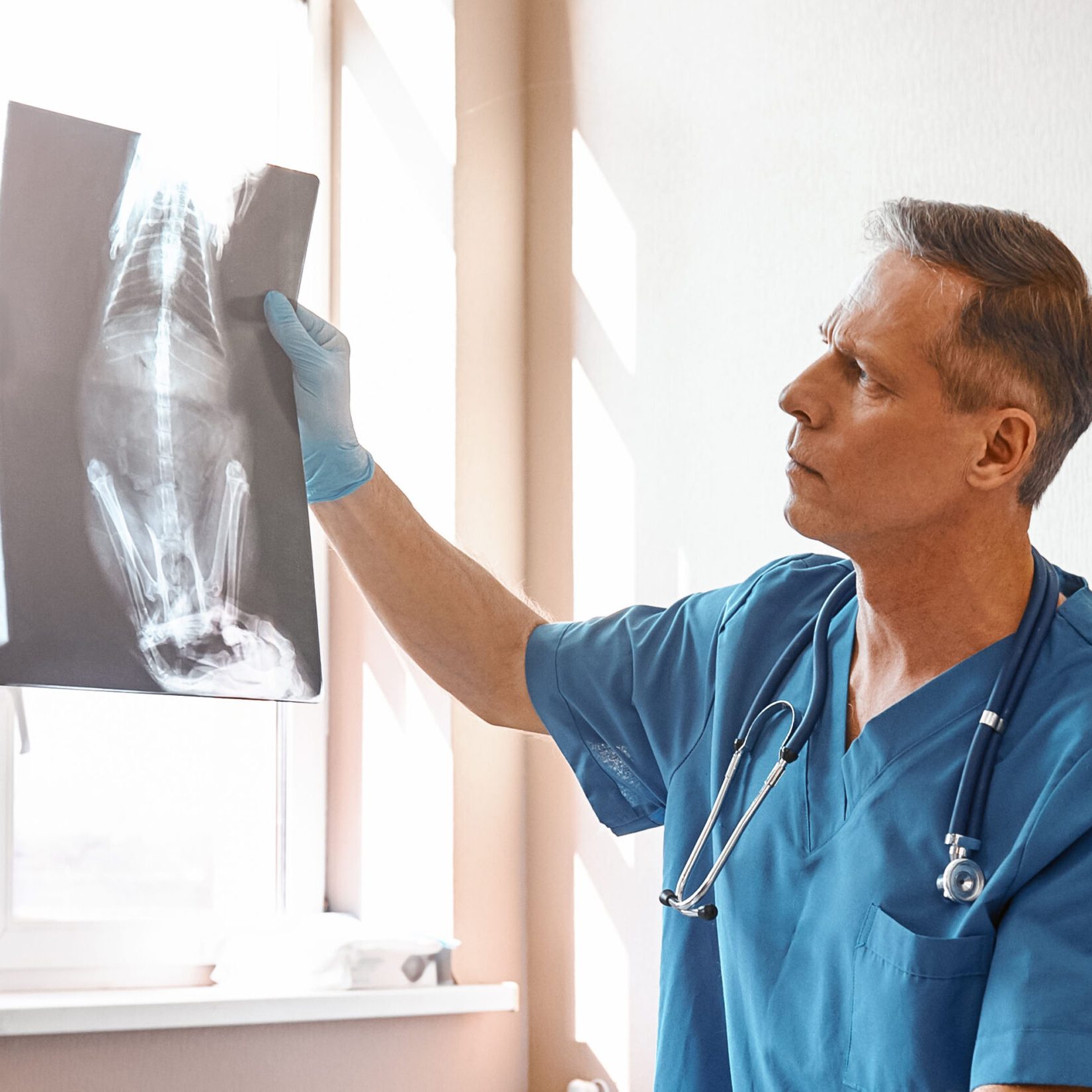 doctor looking at x-ray