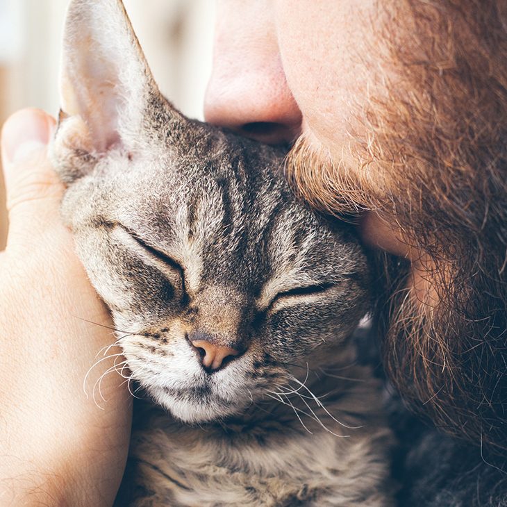 man kissing cat on head